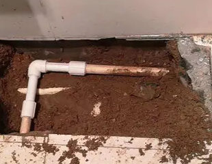 高青测漏水哪家好