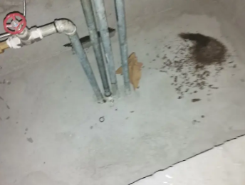 高青卫生间测漏水价格明细