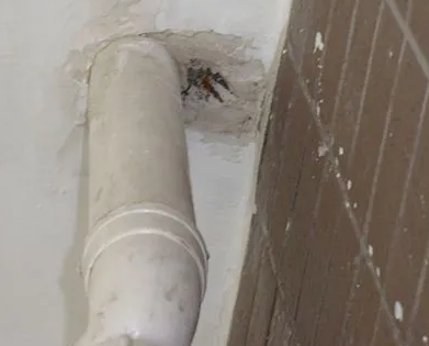 高青漏水检测哪家好